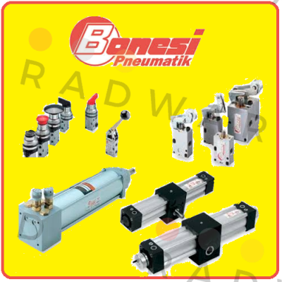 Bonesi Pneumatic logo