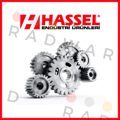 Hassel logo