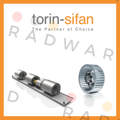 Torin-Sifan logo