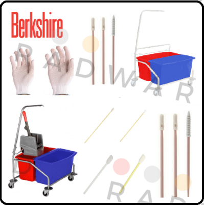 Berkshire logo