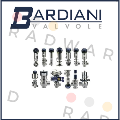 Bardiani Valvole-FLANGES IN AREAS WHERE THE SEALS AND IN THE SHAFT SEALS (FOR YQ1065BP300FA  MATR NO: ONA 000100  PRE  price