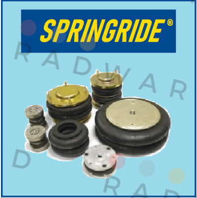 Springride-SP1538 price