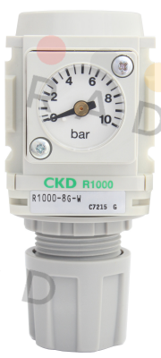 Ckd-R1000-8G-G3 price