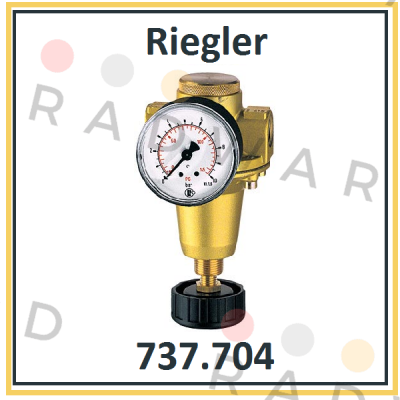 Riegler-P/N: 100893 Type: 737.704 price